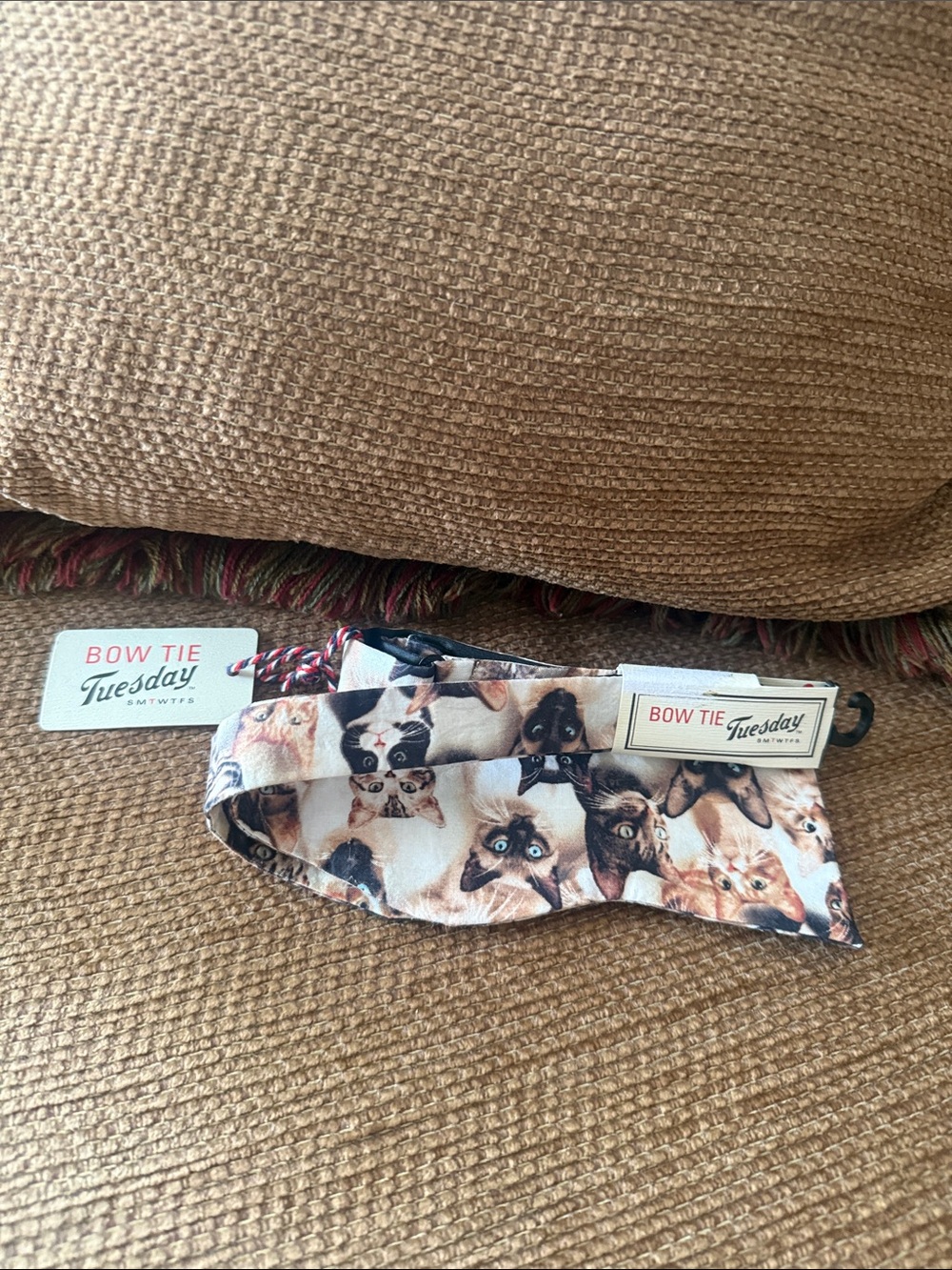 Cat Print Bow Tie - Cream Multicolor